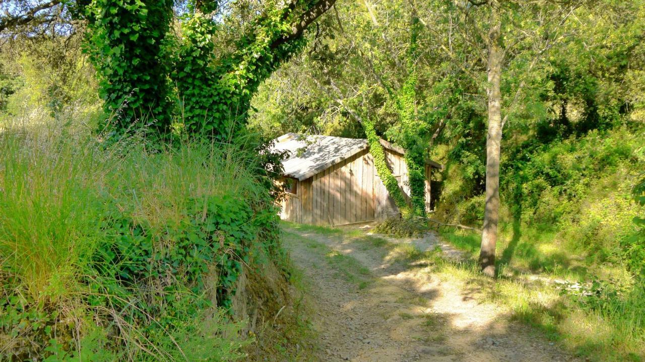 Domaine Sainte Colombe Saint-Gilles (Gard) Exterior photo